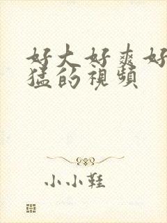 好大好爽好硬好猛的视频