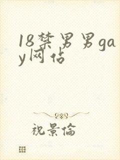 18禁男男gay网站