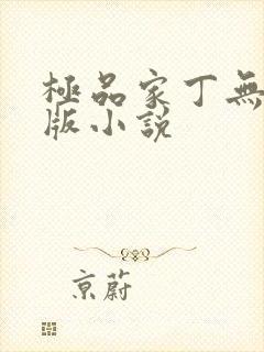 极品家丁无删减版小说
