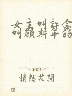 女主叫许念男主叫顾斯年的小说名字