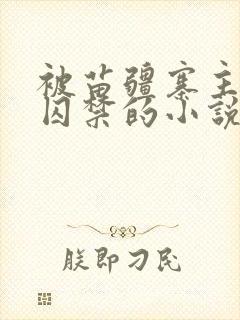 被苗疆寨主抓住囚禁的小说封面