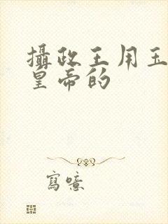 摄政王用玉髓整皇帝的