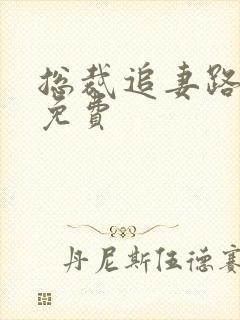 总裁追妻路漫漫免费