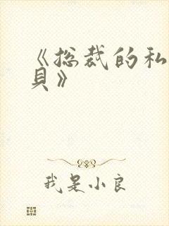 《总裁的私有宝贝》封面