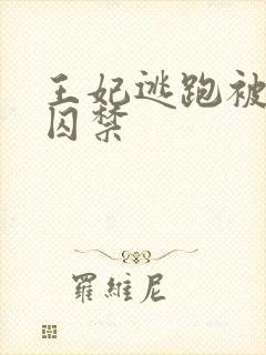 王妃逃跑被王爷囚禁