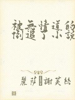 被无情道的师弟倒追了小说封面