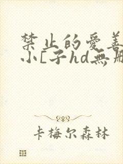 禁止的爱善良的小[子hd无删减播放韩