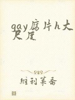 gay腐片h大尺度