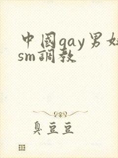 中国gay男奴sm调教封面