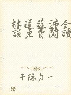 林道苏沛全的小说免费阅读笔趣阁封面