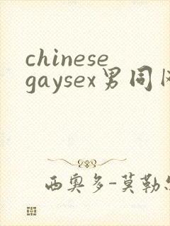 chinesegaysex男同网站封面