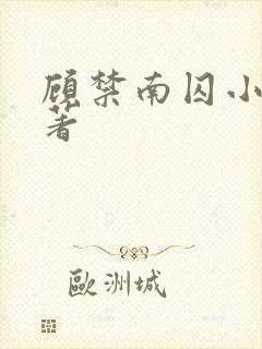 顾禁南囚小说原著