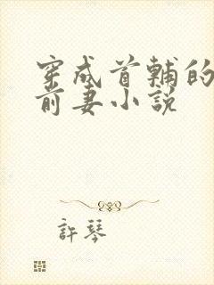 穿成首辅的炮灰前妻小说