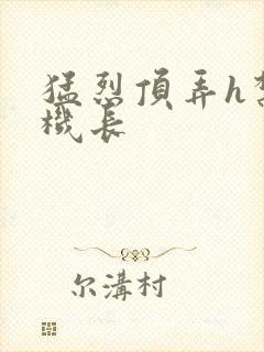 猛烈顶弄h禁欲机长