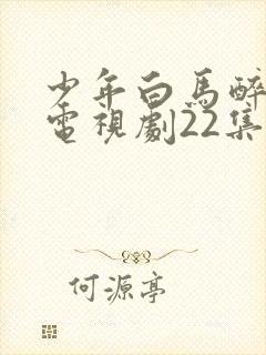 少年白马醉春风电视剧22集免费观看