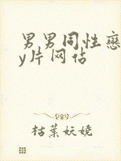 男男同性恋gay片网站