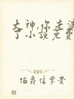 大神,你老婆掉了小说免费阅读