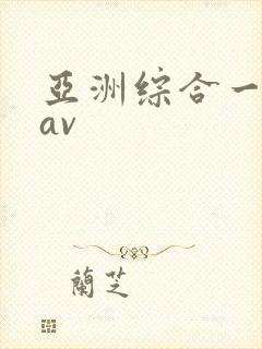 亚洲综合一区二av