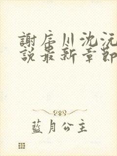 谢序川沈沅珠小说最新章节免费阅读封面