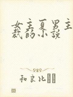 女主夏男主傅总裁的小说封面