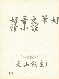 好看文笔好的言情小说