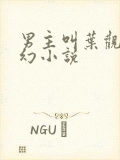 男主叫叶观的玄幻小说