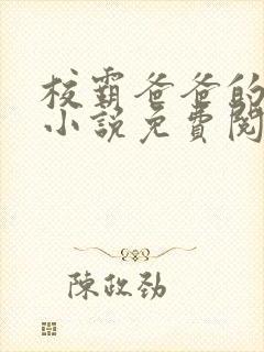 校霸爸爸的秘密小说免费阅读