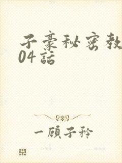 子豪秘密教学204话
