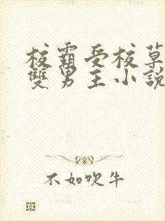 校霸受校草攻的双男主小说