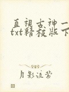 直视古神一整年txt精校版下载封面