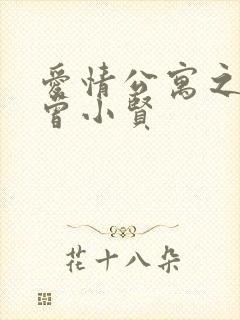 爱情公寓之极品曾小贤封面