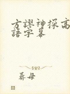 方谬神探高清国语字幕封面