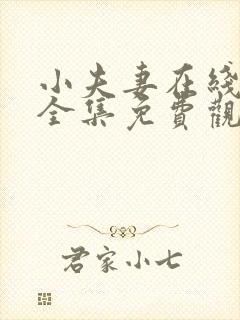 小夫妻在线观看全集免费观看高清封面