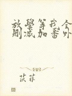 放学等我全文无删减加番外txt