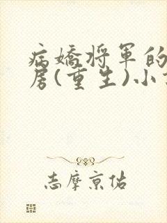 病娇将军的小通房(重生)小说