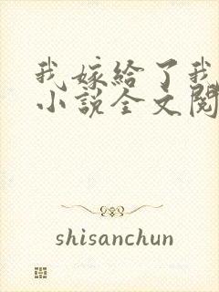我嫁给了我儿子小说全文阅读