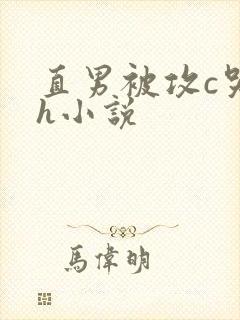 直男被攻c哭高h小说