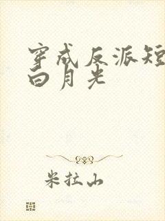 穿成反派短命的白月光封面