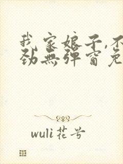 我家娘子,不对劲无弹窗免费下载