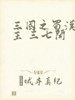 三国之蜀汉我做主 三七开封面