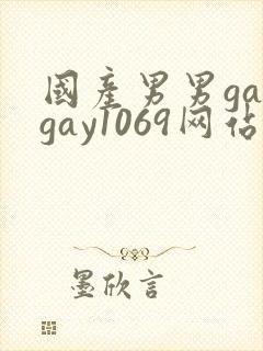 国产男男gaygay1069网站封面