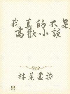 我真的不是重生 高欢小说