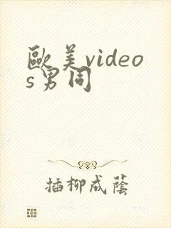 欧美videos男同