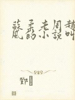 苏柔老周赵刚林风的小说叫什么