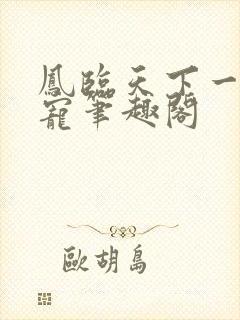 凤临天下一后千宠笔趣阁封面