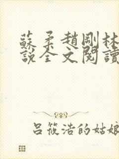 苏柔赵刚林风小说全文阅读