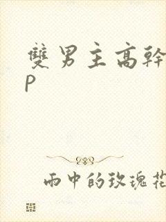 双男主高干文np