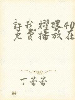 许我耀眼40集免费播放在线观看封面