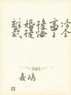 离婚后高冷女总裁后悔了全本封面