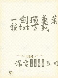 一剑独尊叶玄小说txt下载